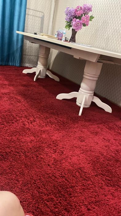 продам стол и ковер травка