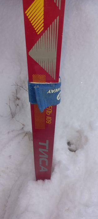 Лыжи Тисса  пластик