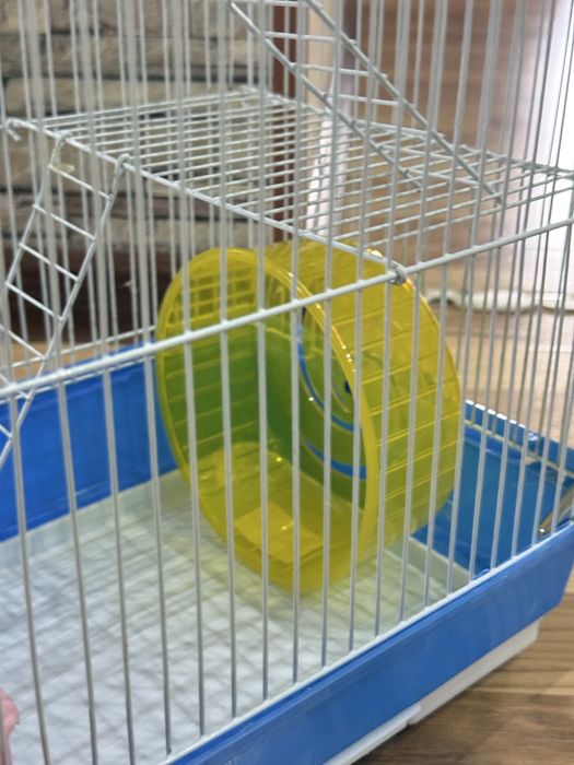 Клетка для хомяка с едой