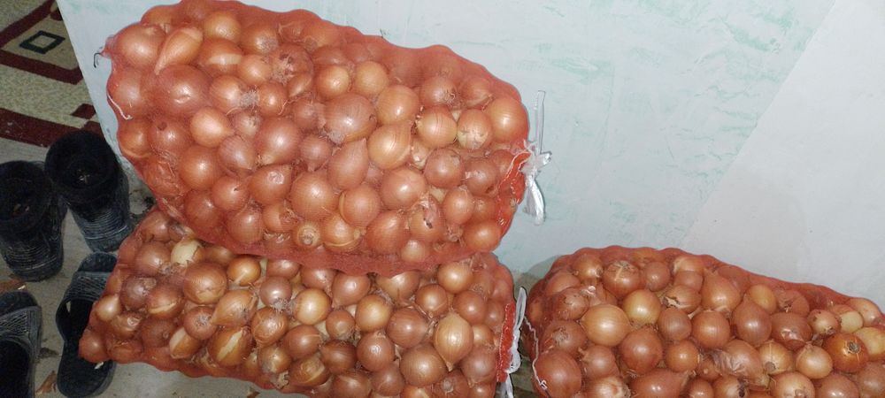 Piyoz sotiladi 100 xalta