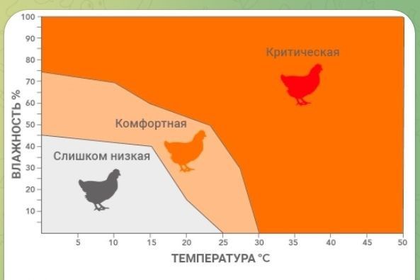 Климат контроль Бройлеры