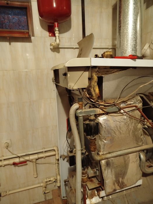 ремонт котлов низкие цены качественные услуги