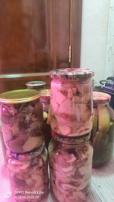 Продам соленье  огурцы грибы