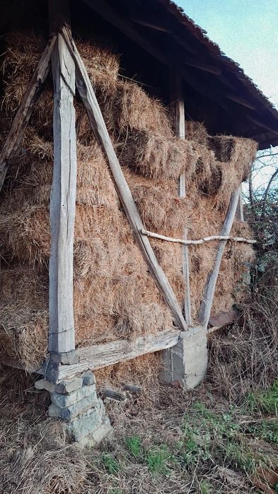 Vând baloți de fân!!