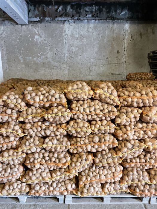 Cartofi  consum  Alb și Roșu (0,8 lei)