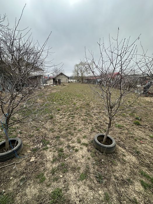 Teren cu casa Principala Gradistea Ilfov 1000m