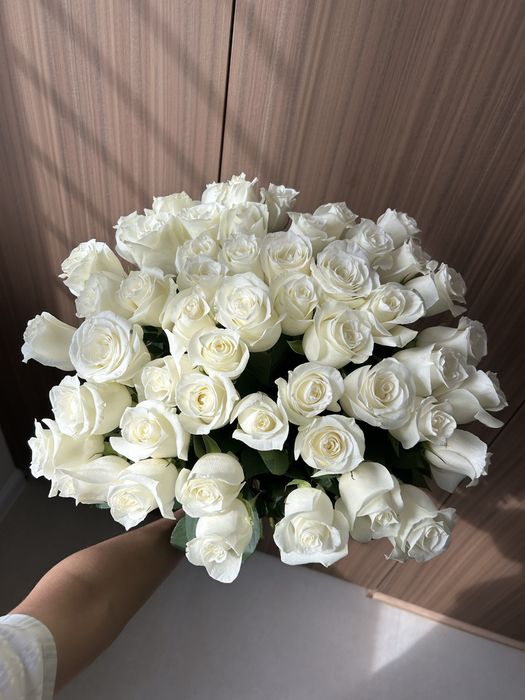 51 шт роза без оформление