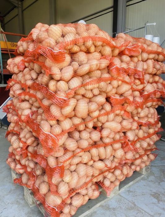 Cartofi Albi Mari (Pentru Consum)