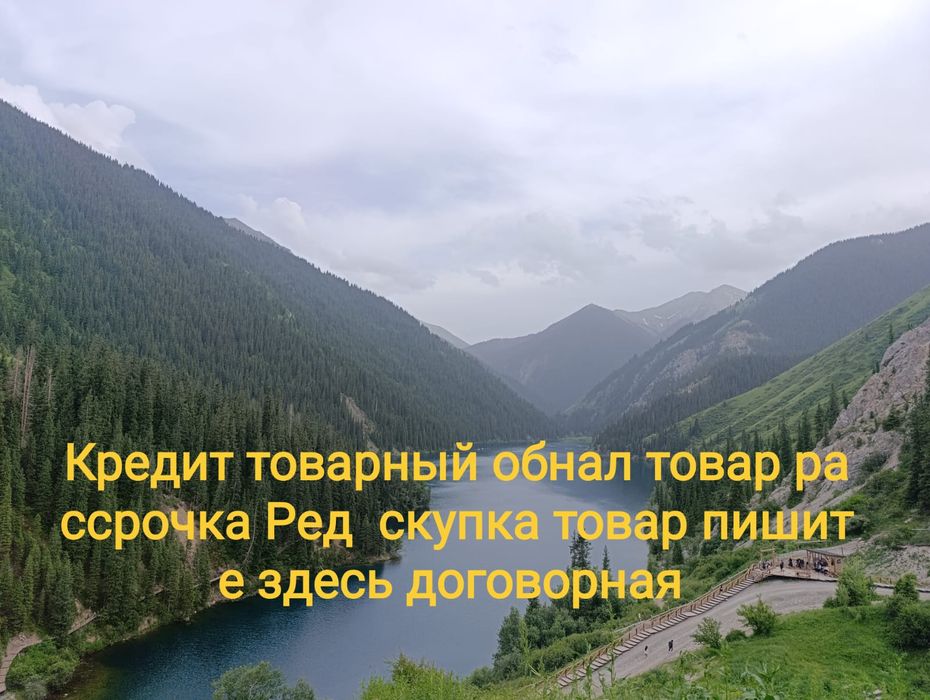 Кредит товарный вид цена договорная пишите здесь