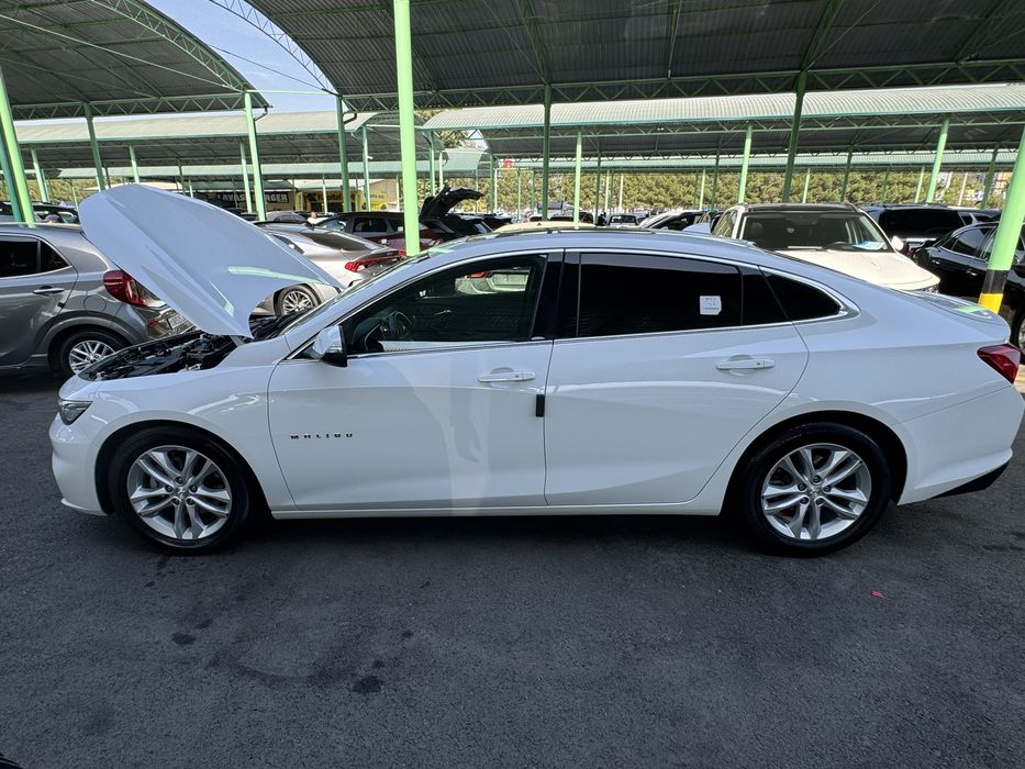 Malube 2 2/4 oq 2019 atfasferni mator kraskasi tozza