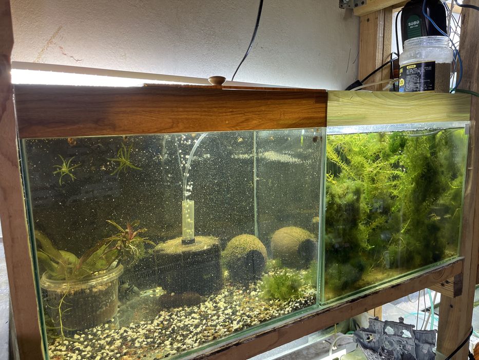 Аквариум 35 литров