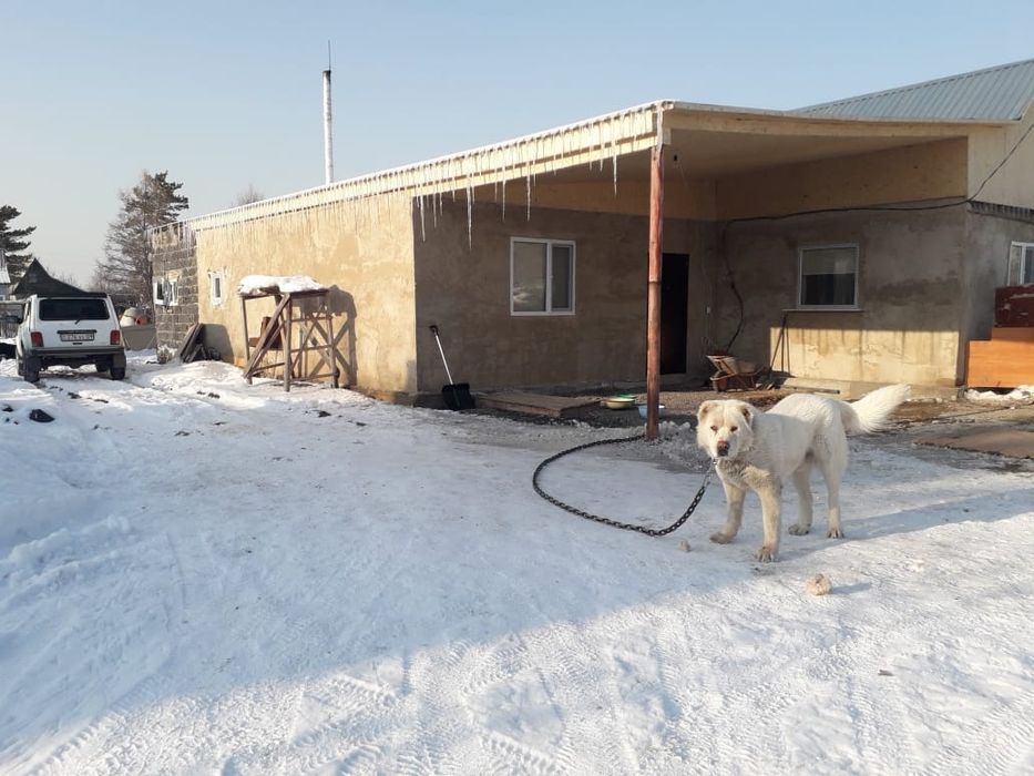 Продам дачи в С/О" Машиностроитель"