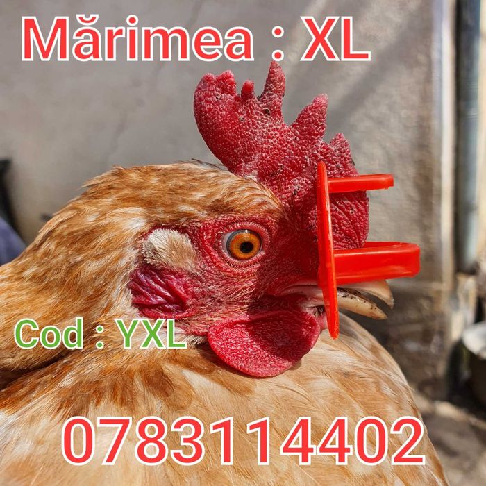 Fazani Pauni Pasari Gaini-Anti Canibalism-Lupte- Ochelari Fara Ac -YXL