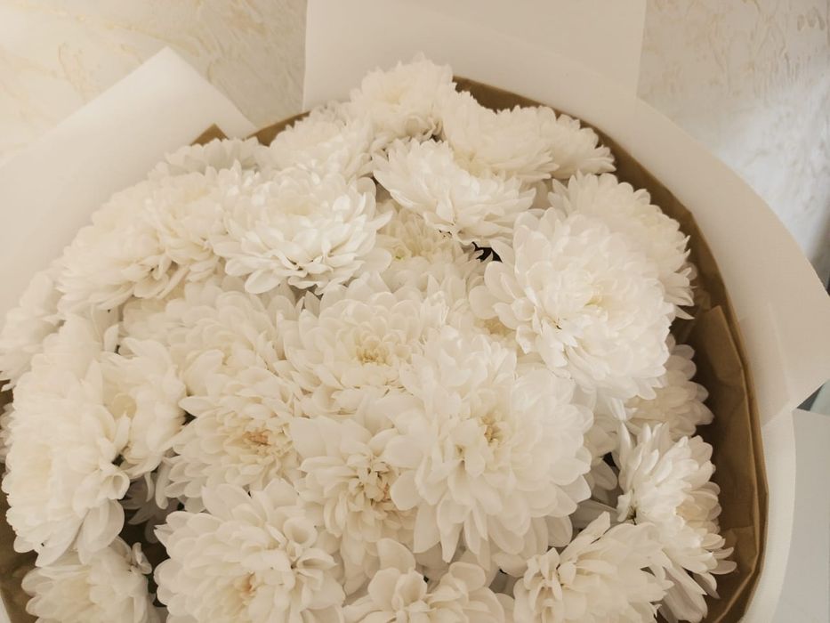 Продаётся цветы тараз