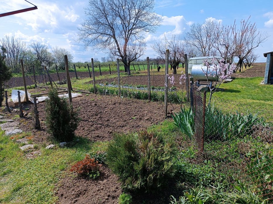 Къща с двор, с.Ситово Силистра