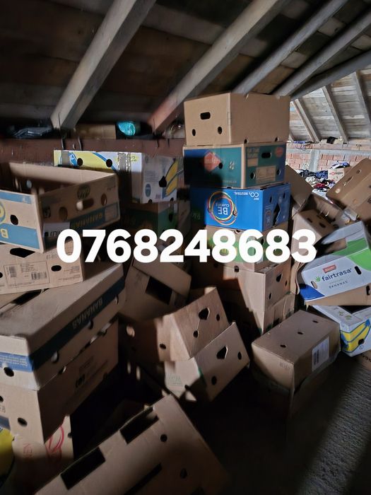 Vand cutii de banane