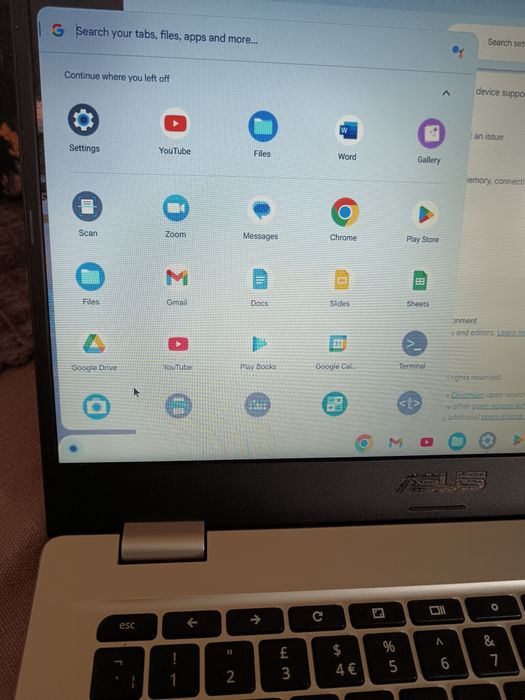 Лаптоп Asus Chromebook C423N