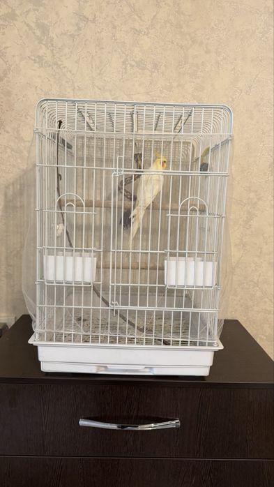 Клетка для Попугаев Жако корелла ожереловые