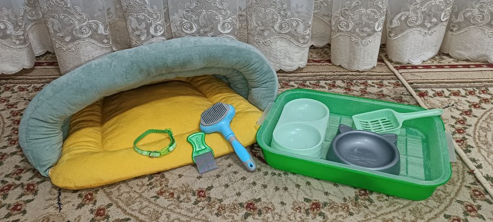 Посуды для кошки: 2 Миски, латок+лопатка, лежанка, расческа, ошейник
