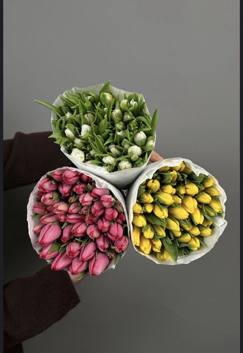 Тюльпаны оптом и в розницу  24на7