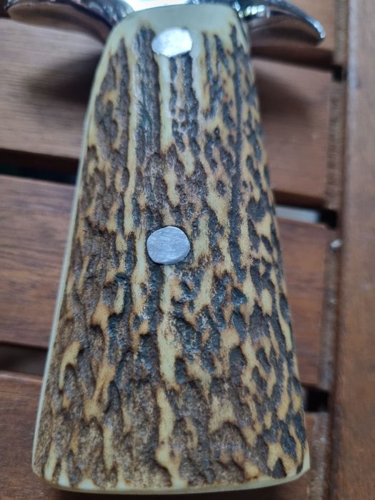 Cutit vanatoare superb