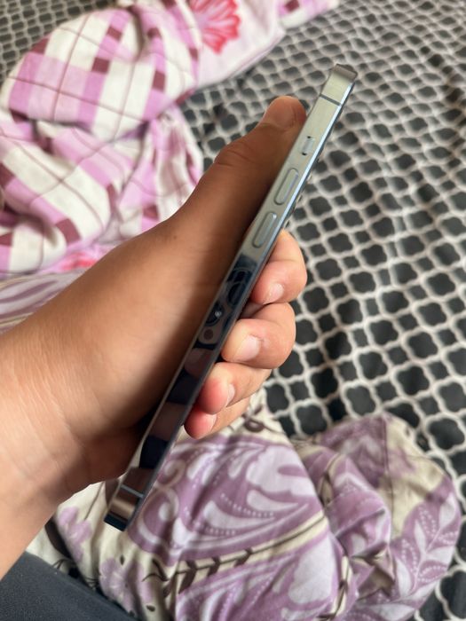 iPhone 13 Pro Max 256