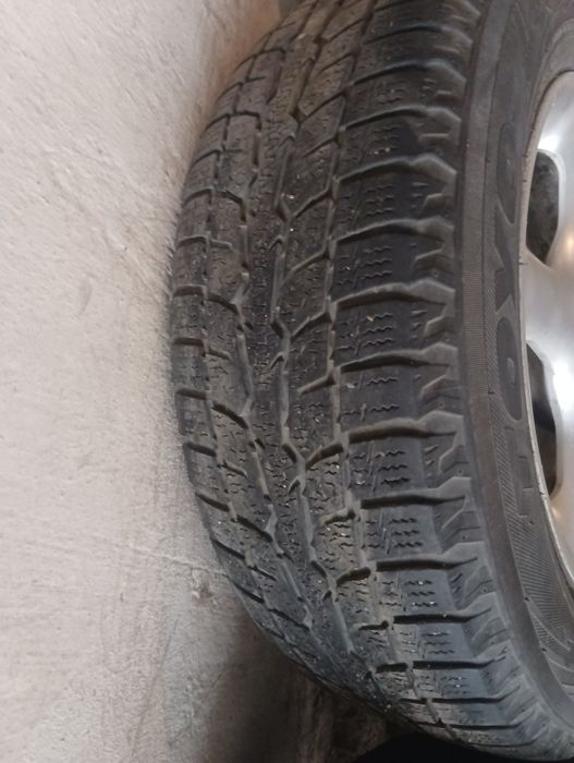Продам зимние шины Toyo