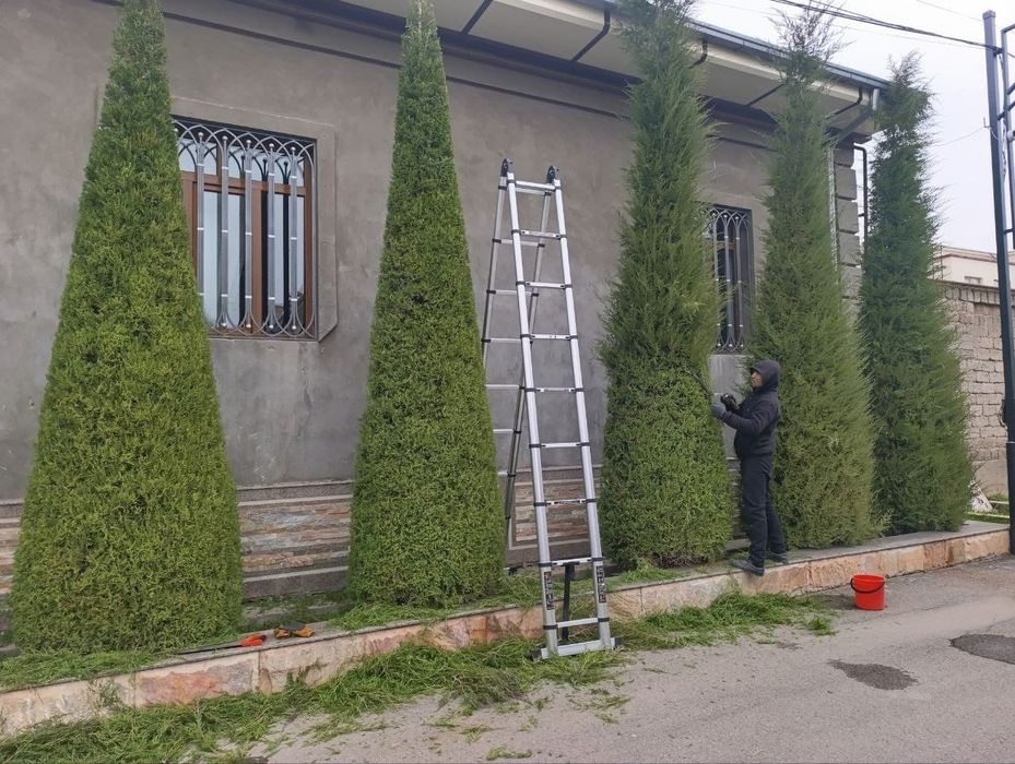 Archa kesish gazon palif xizmati