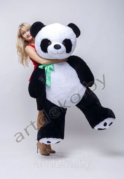 Panda Teddi va Boshqa Barcha Yumshoq O'yinchoqlar