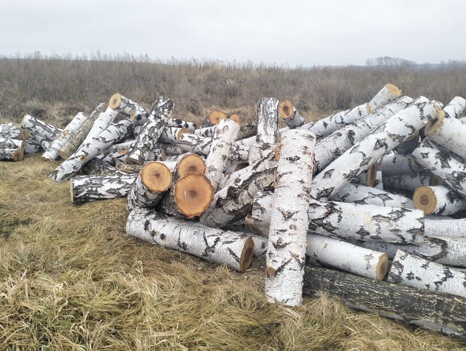 Деловой лес(кругляк)