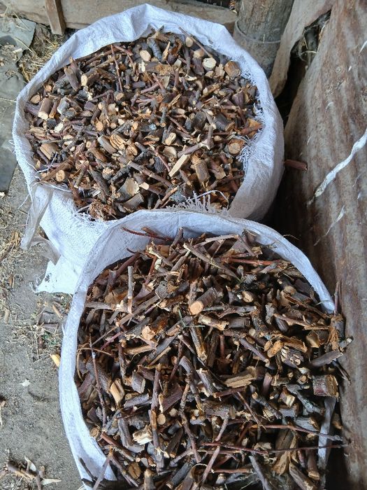 Щепа плодовых деревьев