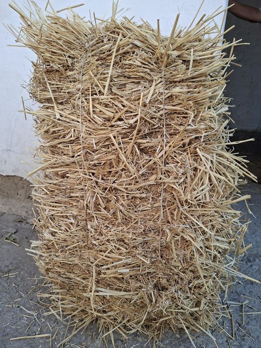 Бидай саман малга