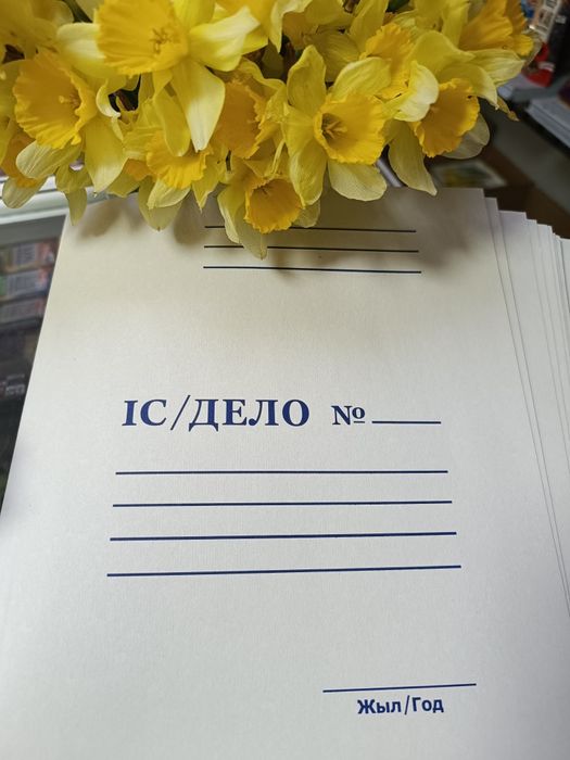 Папка-скоросшиватель