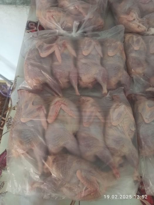 Бөдене Перпеленка