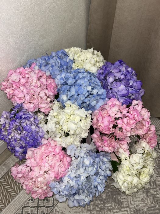 Продам Цветы гортензии в корзине