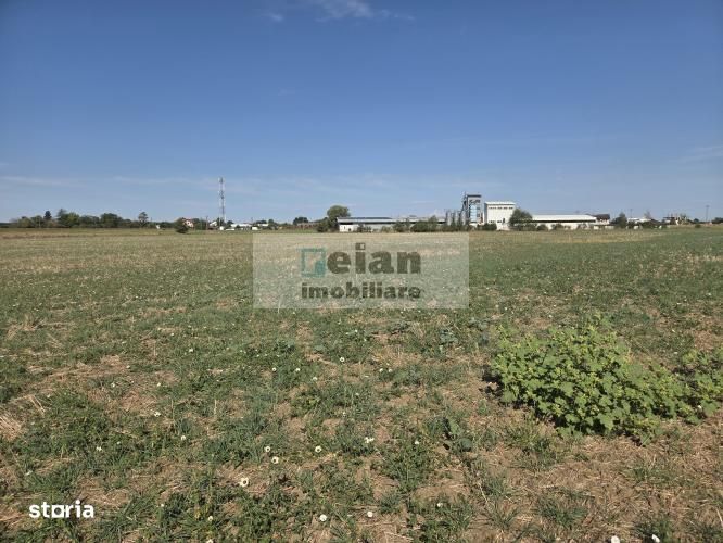 Ciolpani - Caro Events, Padure, 6800 mp, Padure, 58 ml deschidere