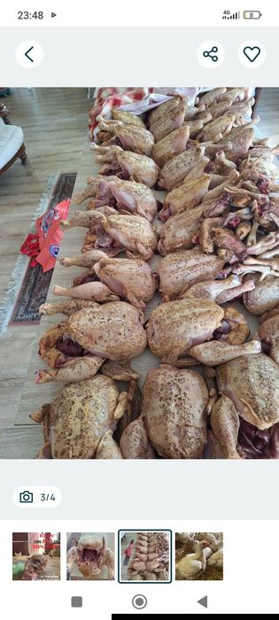 Gaini taiate de carne