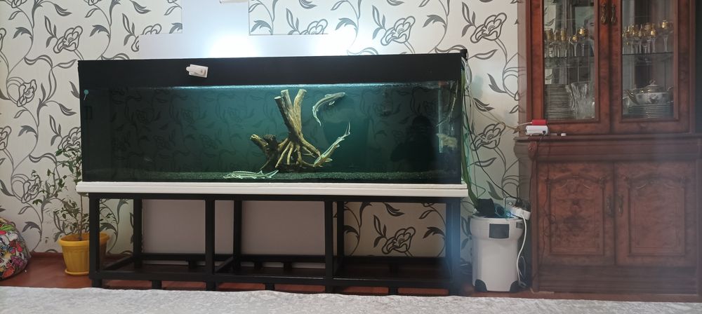 Коряга для аквариума