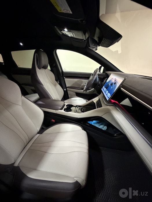 BYD chenpion restaling