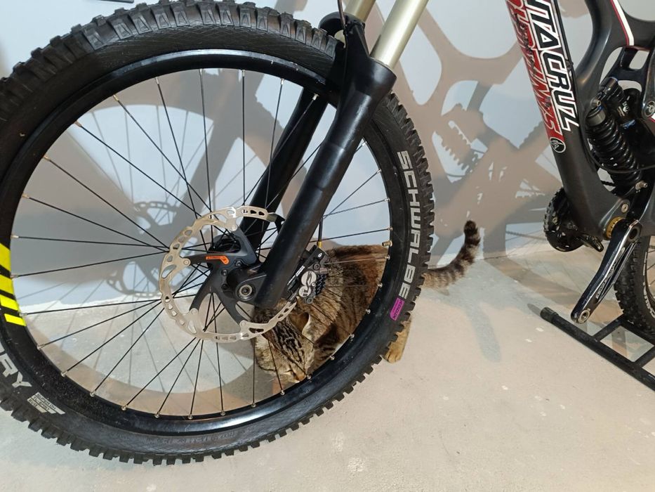 Santa Cruz V10 – RockShox BoXXer