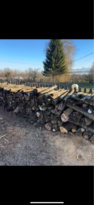 Vand lemne. … USCATE…. amestec de stejar, carpen, maracine, jugastrul.