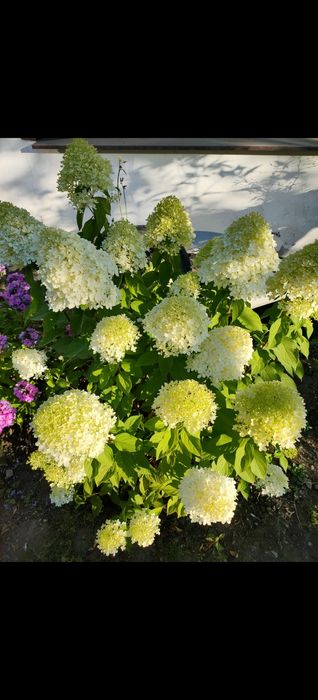 Дом 5 комнат, 80м2, 10 соток