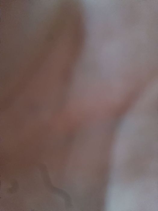 Samsung S21 5G 8/256GB