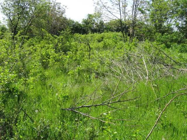 Продавам парцел в село Безводица