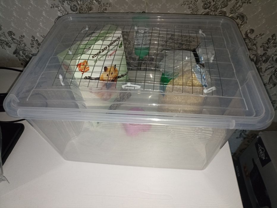 Для хомяка за 3500 тг