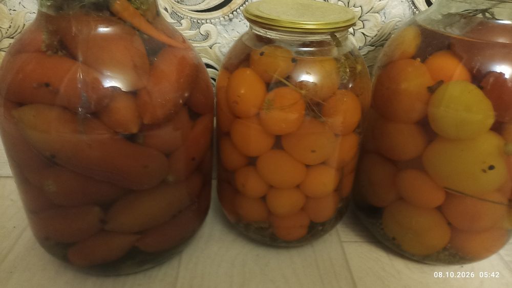 Соленья домашнее