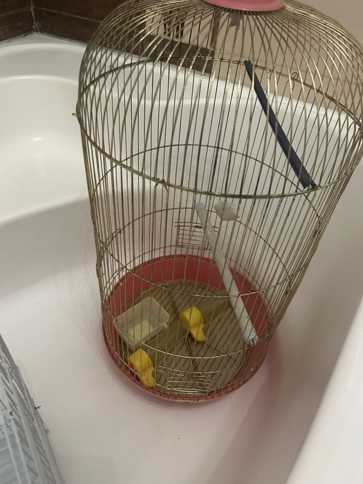 Клетки для попугаев