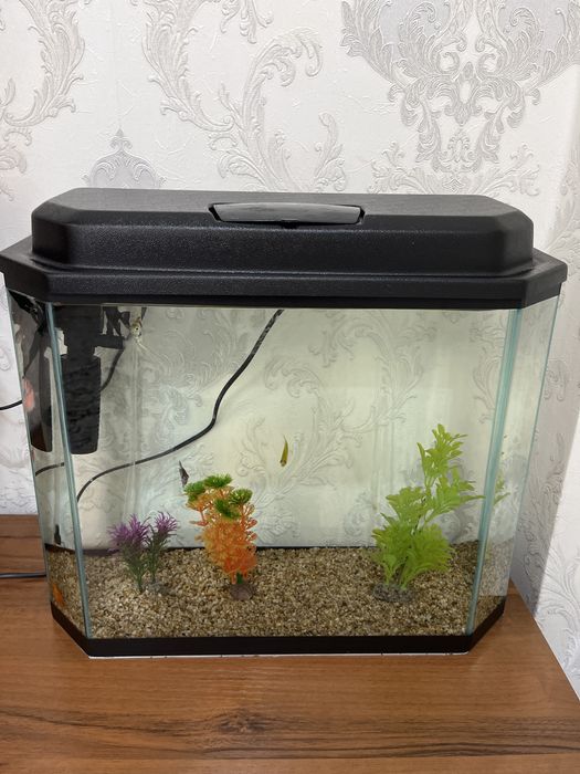 Аквариум на 30л