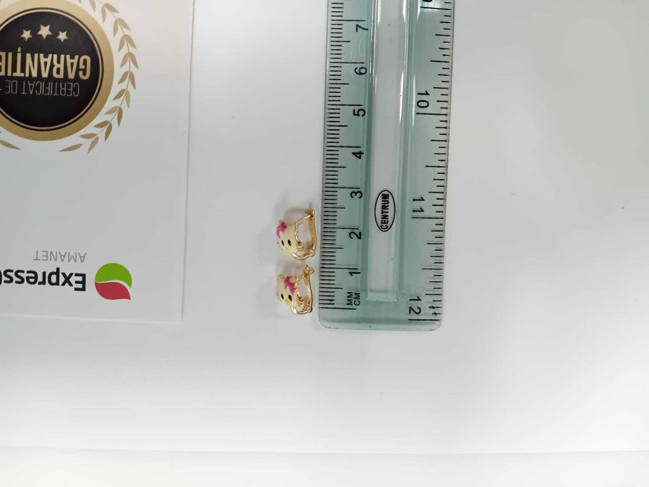 (AG33) Cercei Aur 14K / Garantie 2 Ani.
