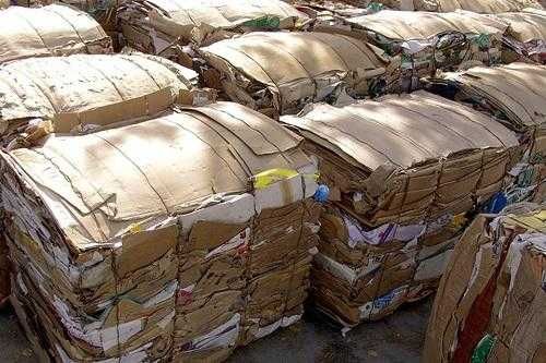 Прием макулатуры, картон, архив книги и пленка (ПВД-стрич)